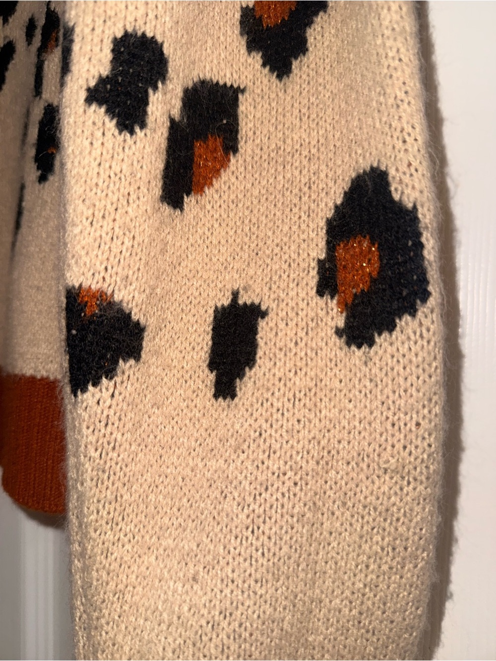 Leopard Print Crewneck Sweater in Beige with Rust Trim - Picture 4 of 4